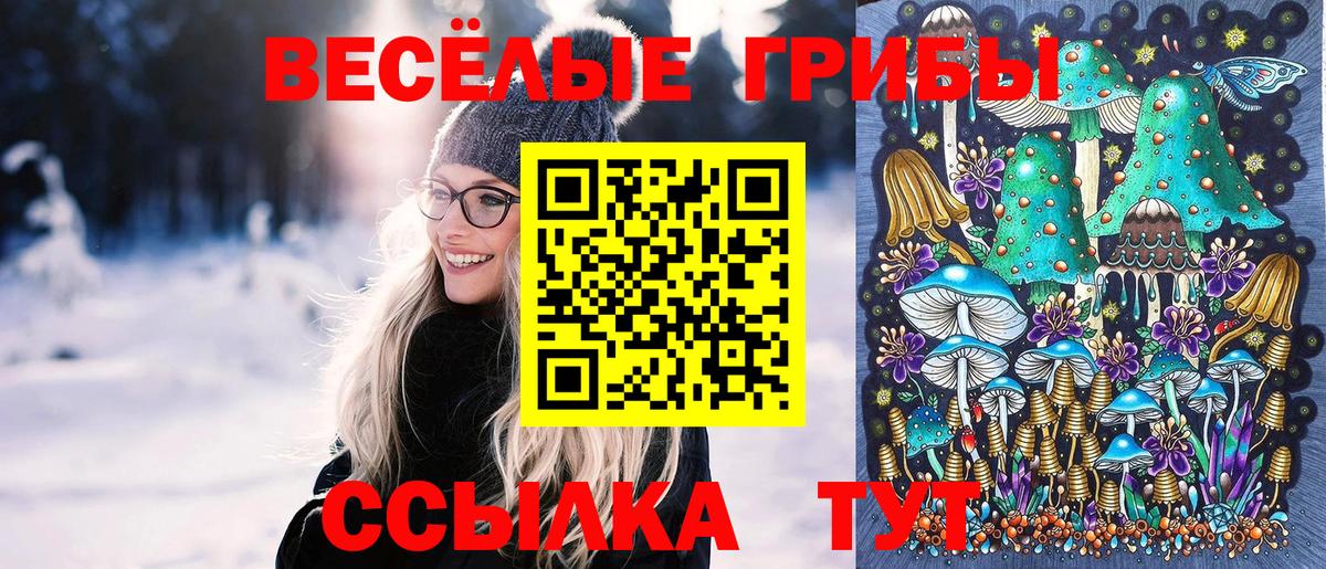 где можно купить   Галлюциногенные грибы Psilocybine cubensis  Вход с VPN  Нефтекамск 